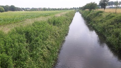 Bekken van de Gentse Kanalen - Avrijevaart-Burggravenstroom