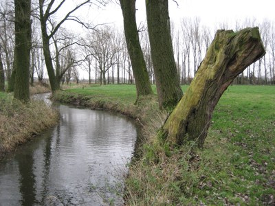 Bekken van de Gentse Kanalen - Oude Kale (middenloop)