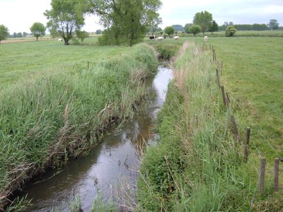 Bekken van de Gentse Kanalen - Poekebeek