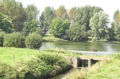 Bekken van de Gentse Kanalen - Zuidlede (Westlede)