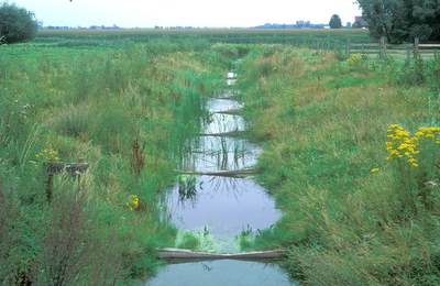 Bekken van de Gentse Kanalen - Zwartesluisbeek-vistrap Rode Geul