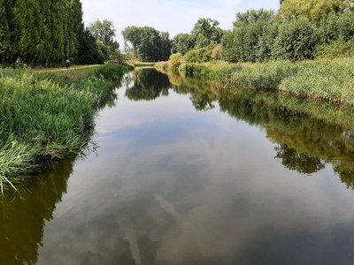 Benedenscheldebekken -  Grote Molenbeek-Vliet