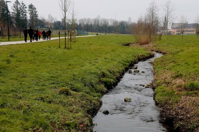 Dijle-Zennebekken - Molenbeek-Laakbeek (Sint-Genesius-Rode)