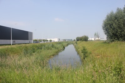 Leiebekken - Vaarnewijkbeek