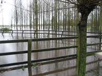 Overstromingen en wateroverlast