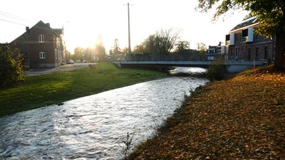 Maasbekken - Berwijn